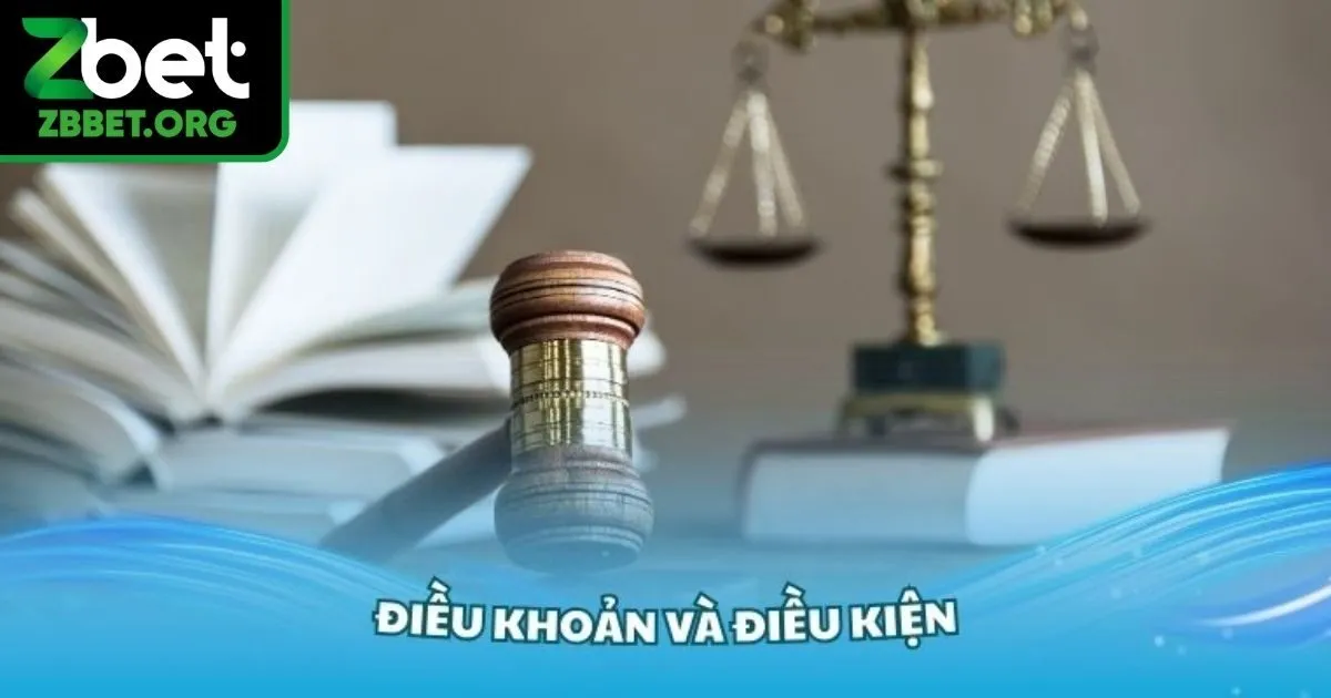 Vì sao có Điều khoản và điều kiện Zbet