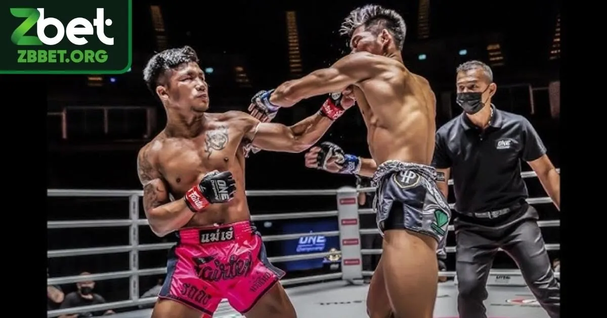 Một số hình thức cược trong MMA bạn cần biết
